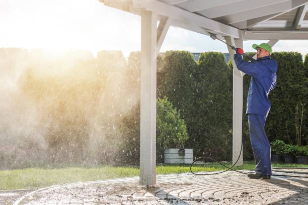 Best Paint Preparation  in Bellingham, WA