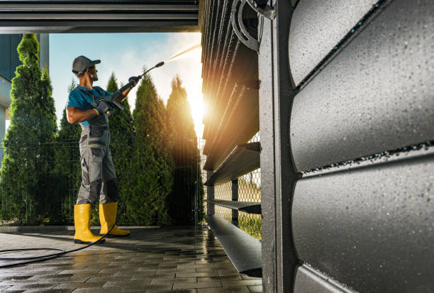 Best Solar Panel Cleaning  in Bellingham, WA